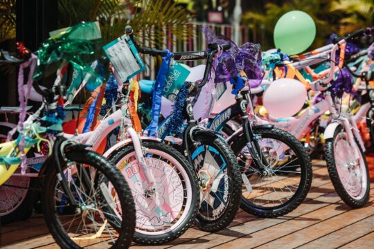 Team Masters Building Bikes 2
