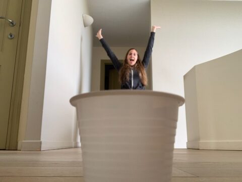 Sophie Go Creat 1 S Qi1